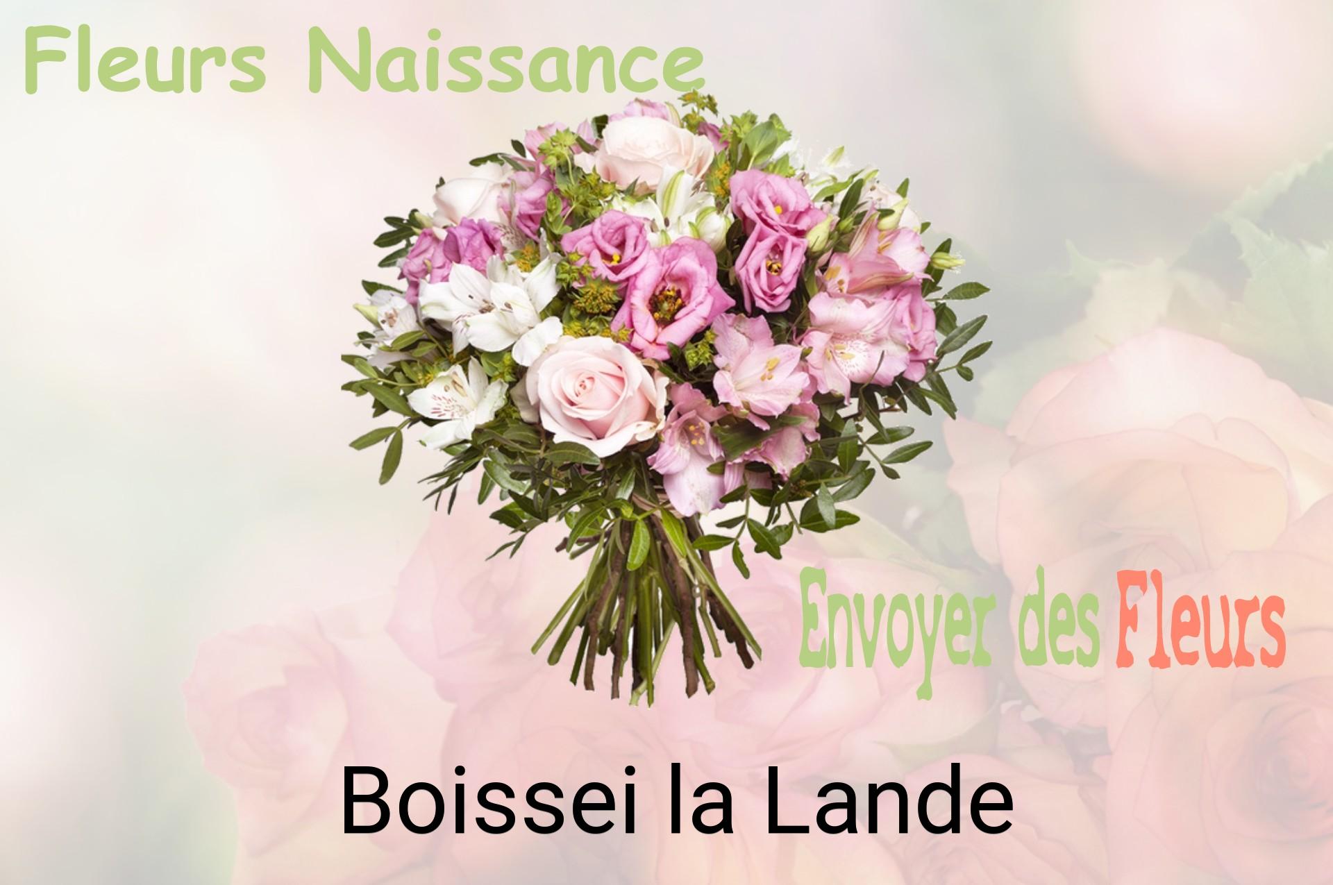 Bouquet de fleurs de naissance livré à Boissei-la-Lande