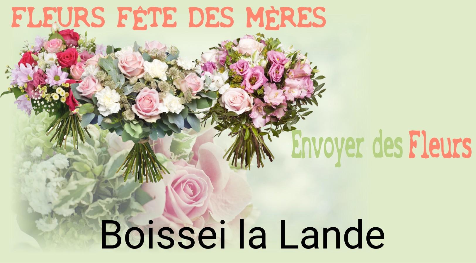 Bouquet de Fête des Mères livré à Boissei-la-Lande